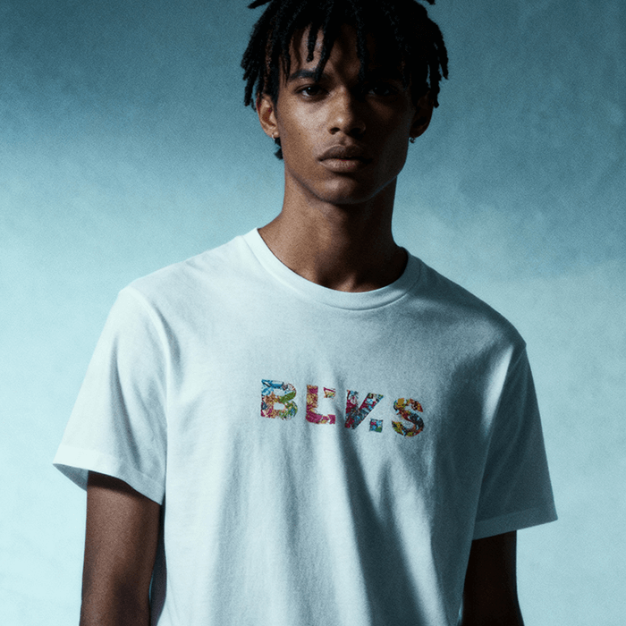 BLANVAS BASIC BLOGO03W model