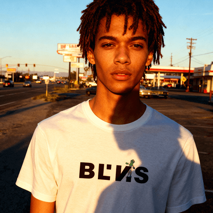 BLANVAS BASIC BLOGO05W model