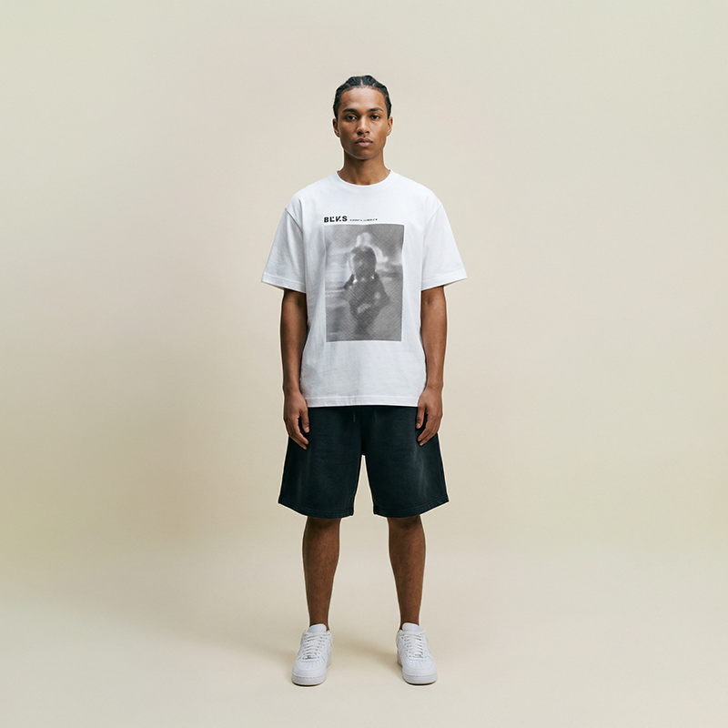 BLANVAS ONE 17W model